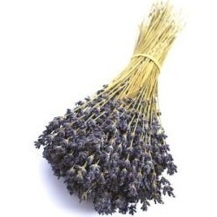 Droogboeket| Lavendelbos, echte lavendel