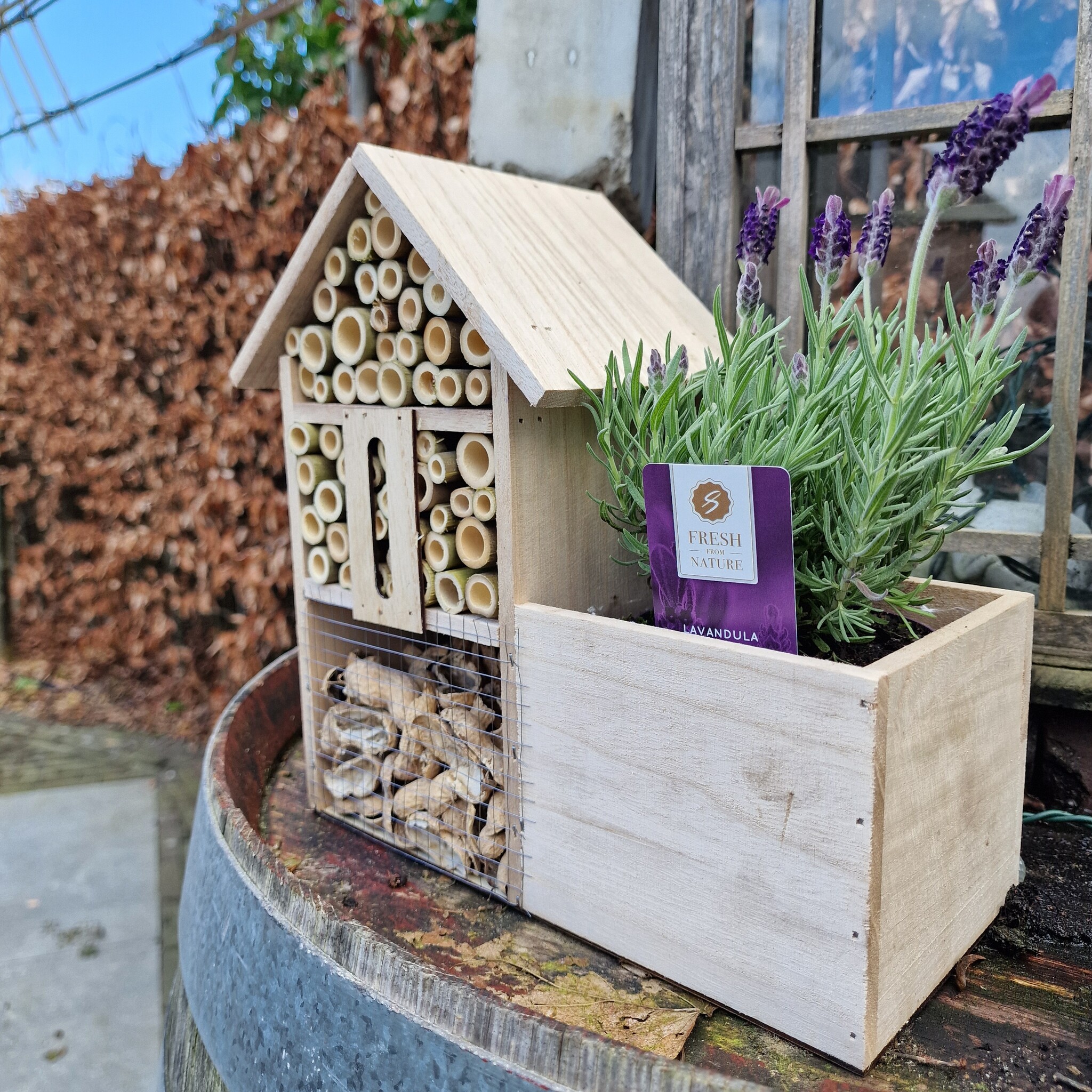 Bijenhotel met plantenbakje