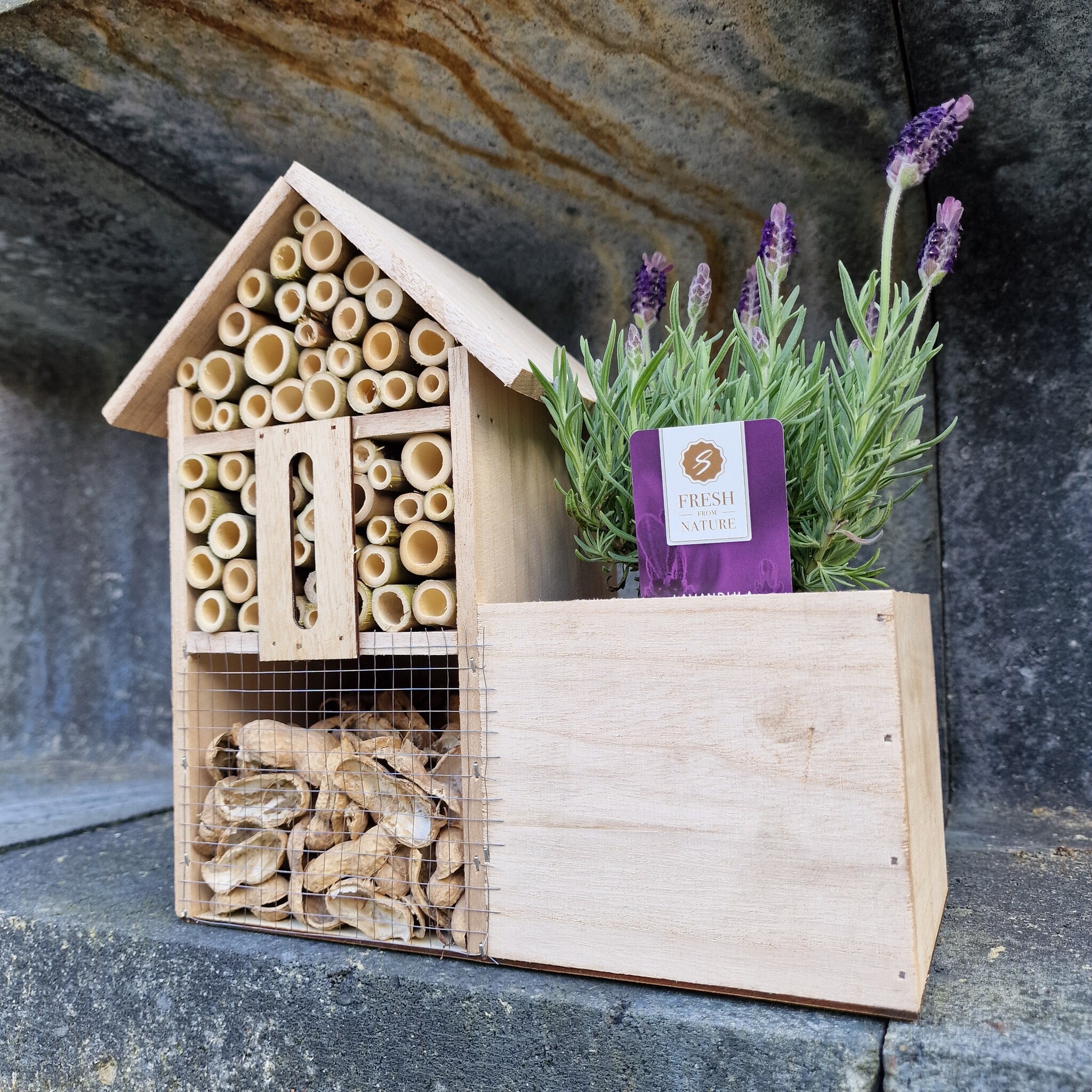 Bijenhotel met plantenbakje