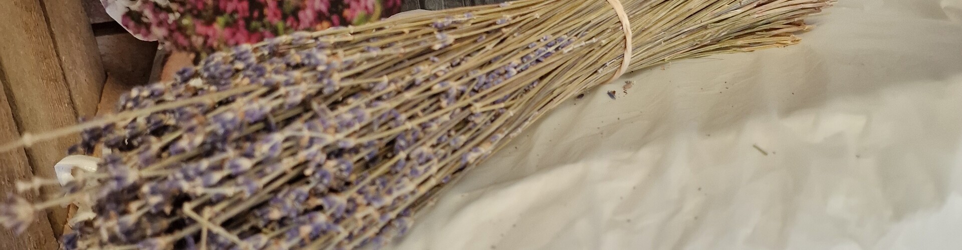 Waarom iedereen dol is op Lavendel: Van planten tot producten