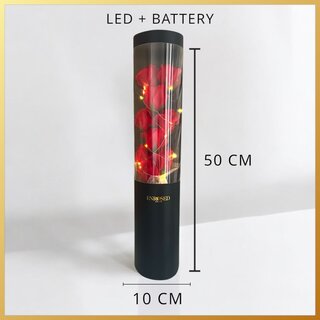 Rode roosjes met led verlichting