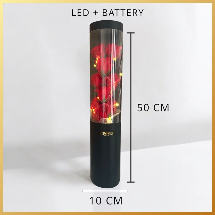 Rode roosjes met led verlichting