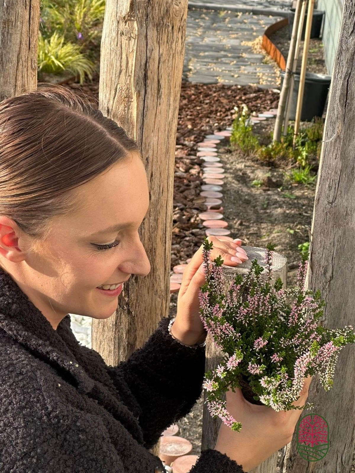 Struikheide | Calluna vulgaris. 'Pink Angie' P10,5