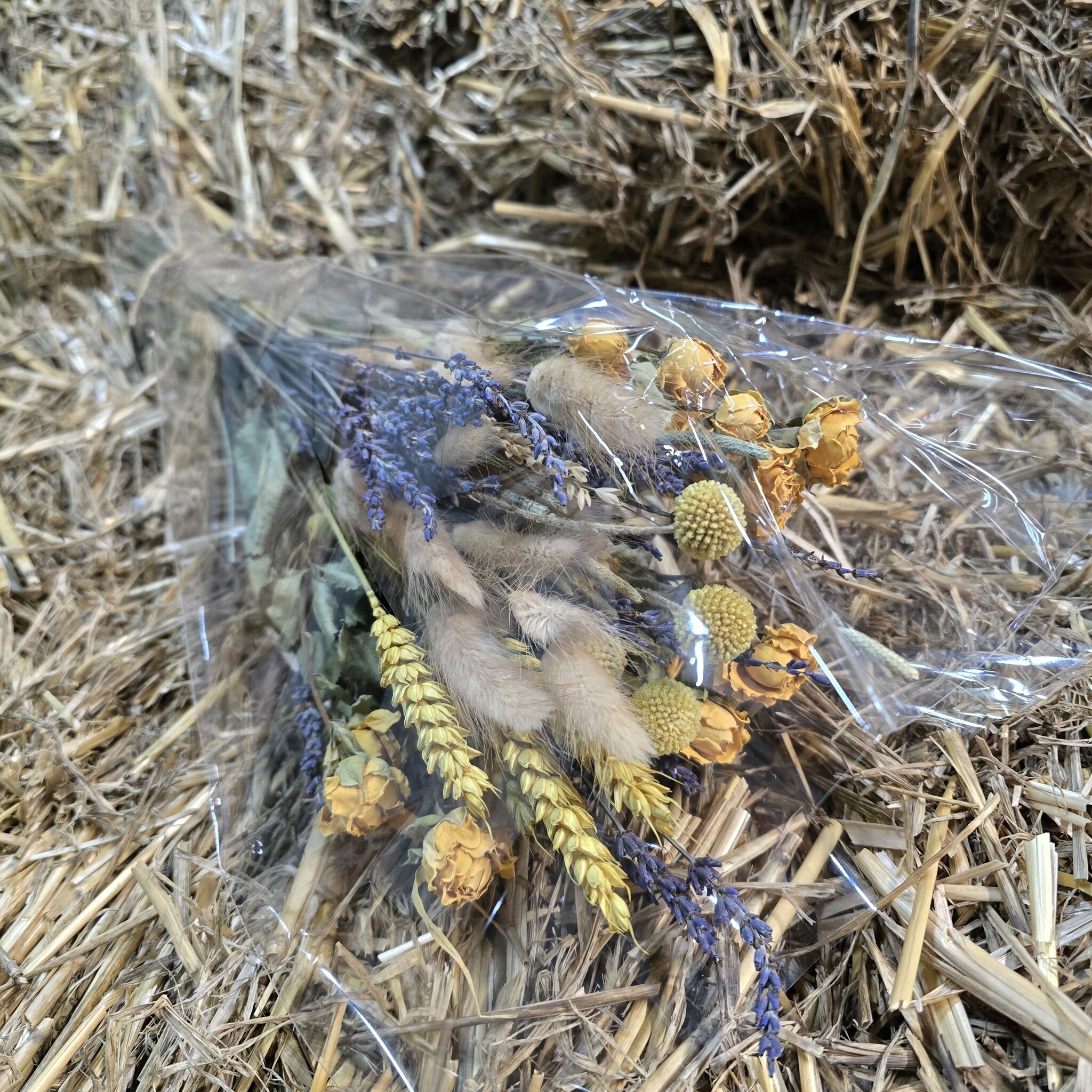 Droogbloemboeket Lavendel