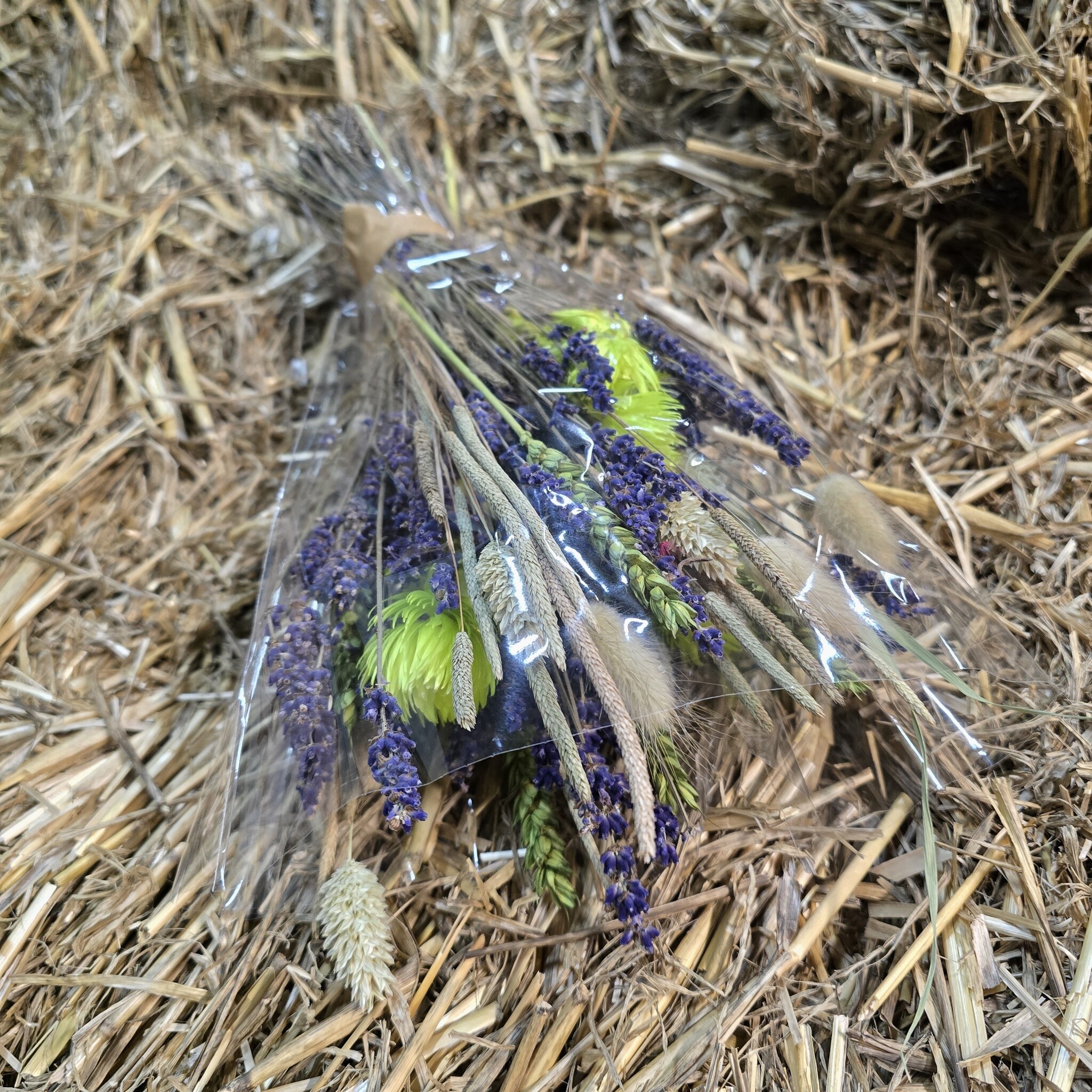 Droogbloemboeket Lavendel