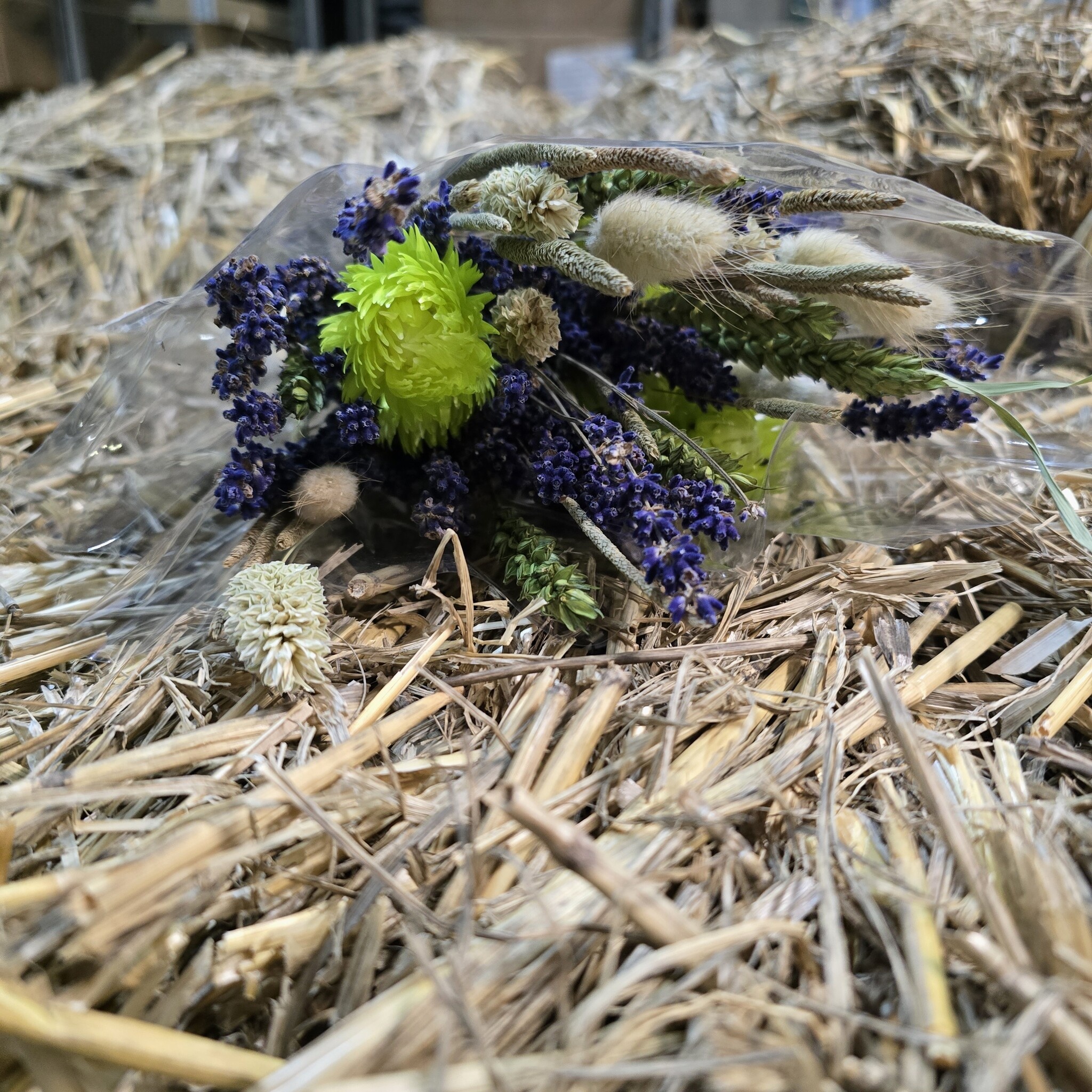 Droogbloemboeket Lavendel