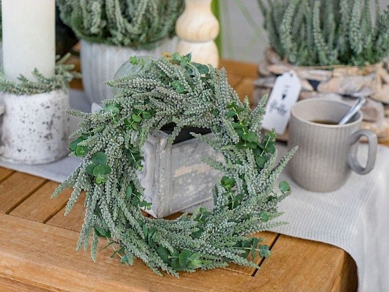 Struikheide | Calluna vulgaris. 'Fluffy' P11