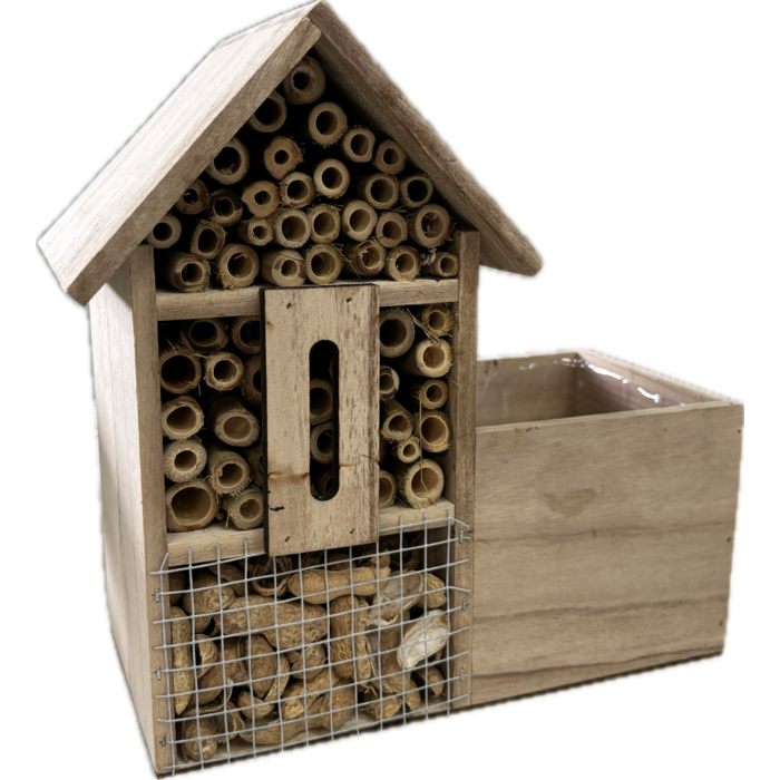 Insectenhotel met Gaultheria Procumbens 'Big Berry'