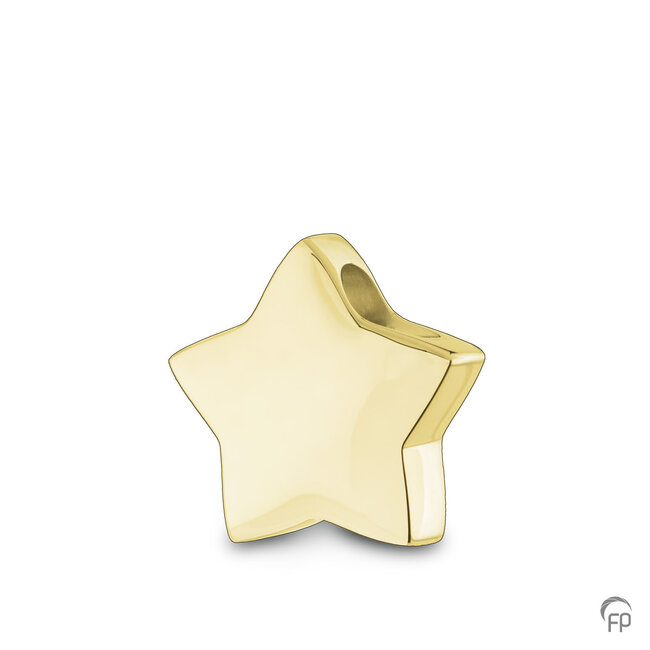 Assieraad hanger - Ster