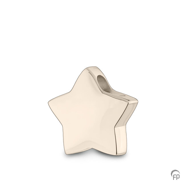 AH 054 Assieraad hanger - Ster