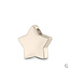 Assieraad hanger - Ster