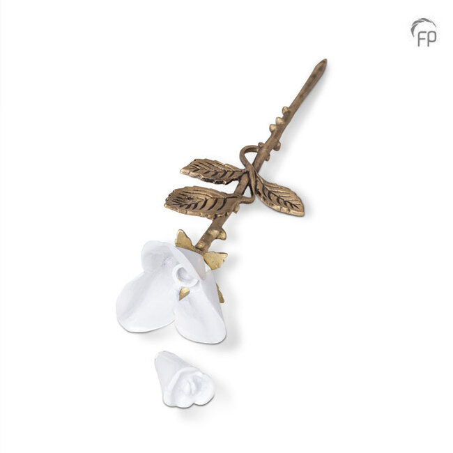 Metaal keepsake Roos - Wit & goudkleur