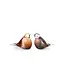Mini urn "vogeltje" kristalglas - diverse kleuren