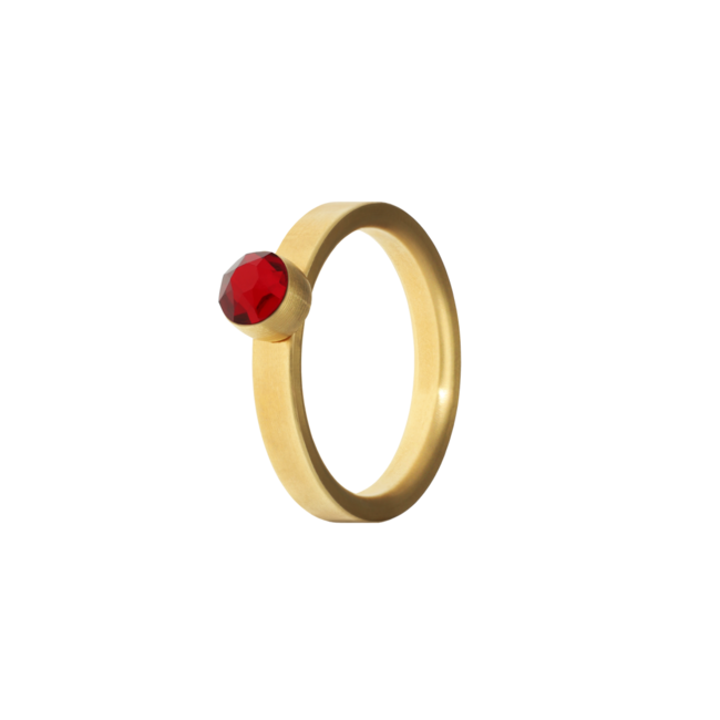 Birthstone januari granaat ring met ashouder - Goudkleurig