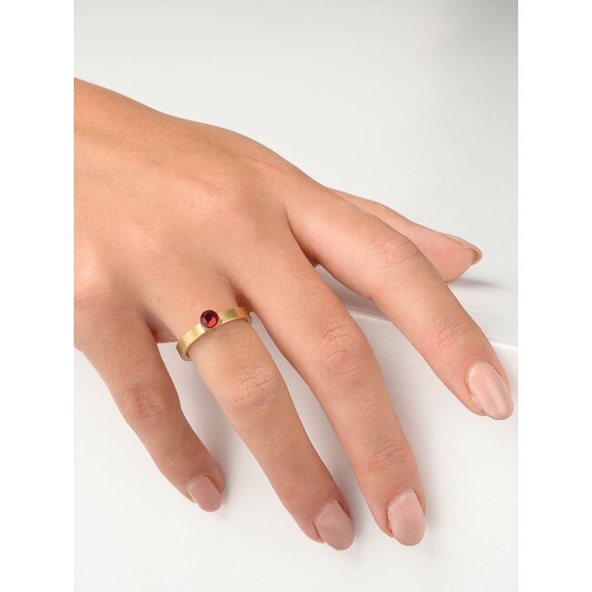 Birthstone januari granaat ring met ashouder - Goudkleurig