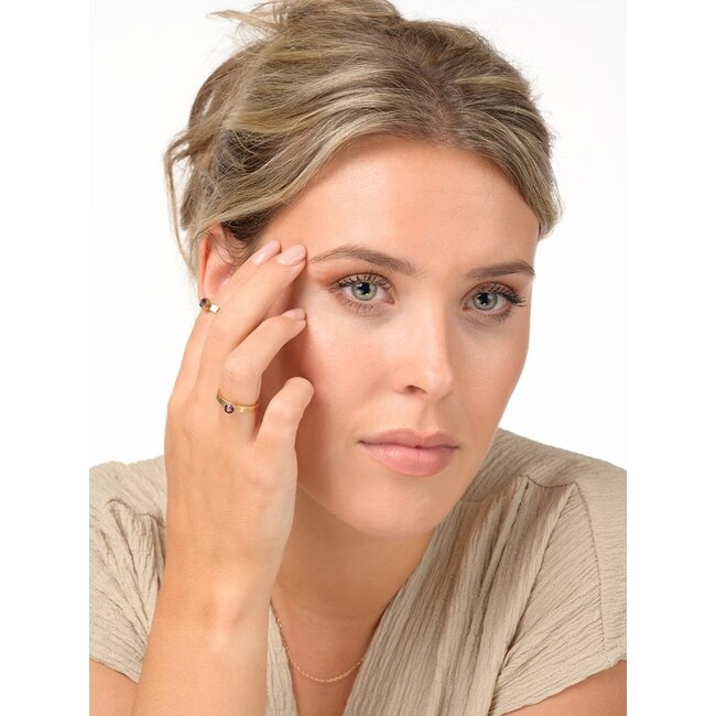 Birthstone februari amethist ring met ashouder - Goudkleurig