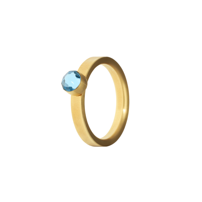 Birthstone maart aquamarijn ring met ashouder - Goud