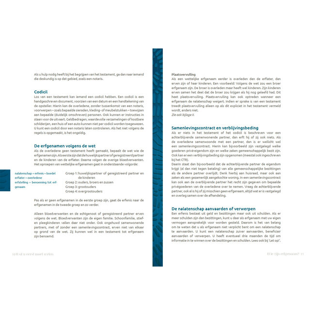 Zorgen erna - alleenstaande - Boek