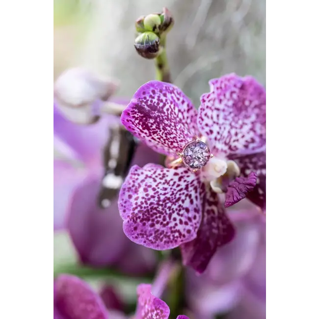 As ring met klauwzetting