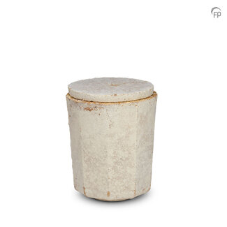 Biologische urn medium Mycelium