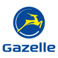 Gazelle E-Bikes. 