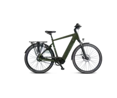 Van Dijck Orion GTS Belt