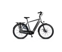 Van Dijck Triton N7 GTS Chain