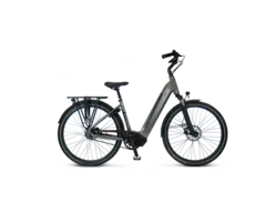 Van Dijck Triton N7 LDS Belt