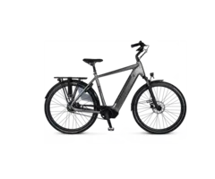 Van Dijck Triton N7 GTS Belt