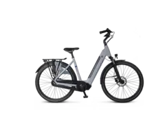 Van Dijck Triton N7 LDS Chain