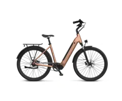 Van Dijck Kronos N7 |