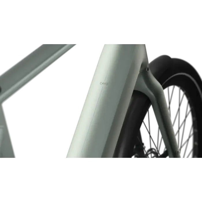 Gazelle Cayo C310