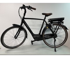 Gazelle Gazelle Orange  C8