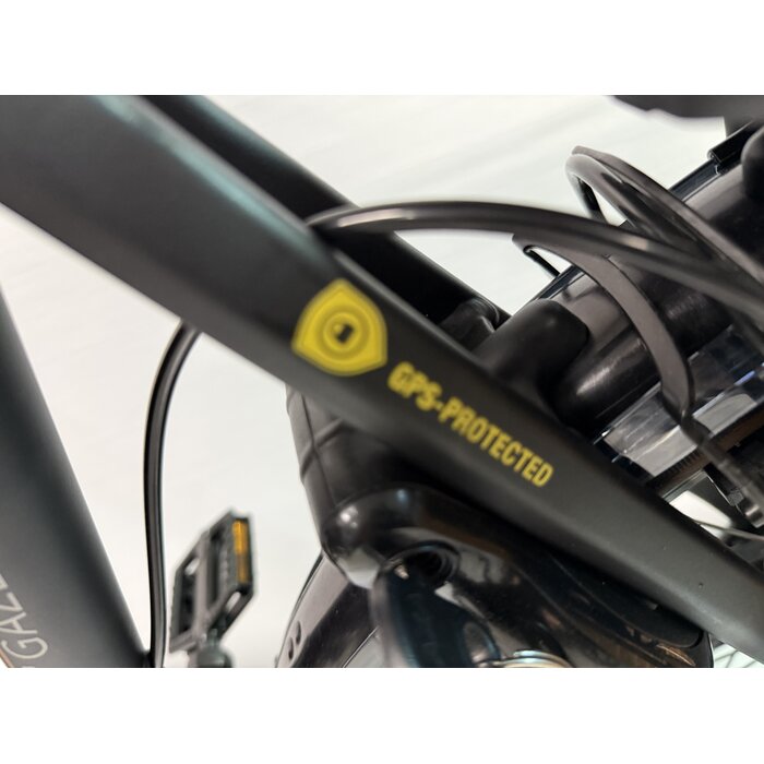 Gazelle Gazelle Orange  C8