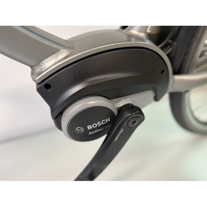 Batavus Batavus Wayz Ego