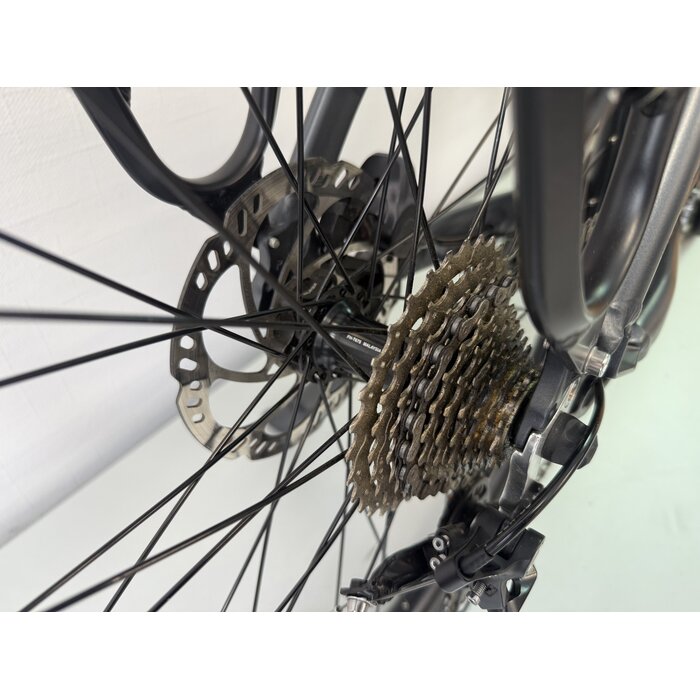 Van Dijck Van Dijck Kali