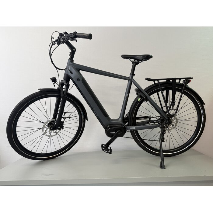 Van Dijck Van Dijck Kali