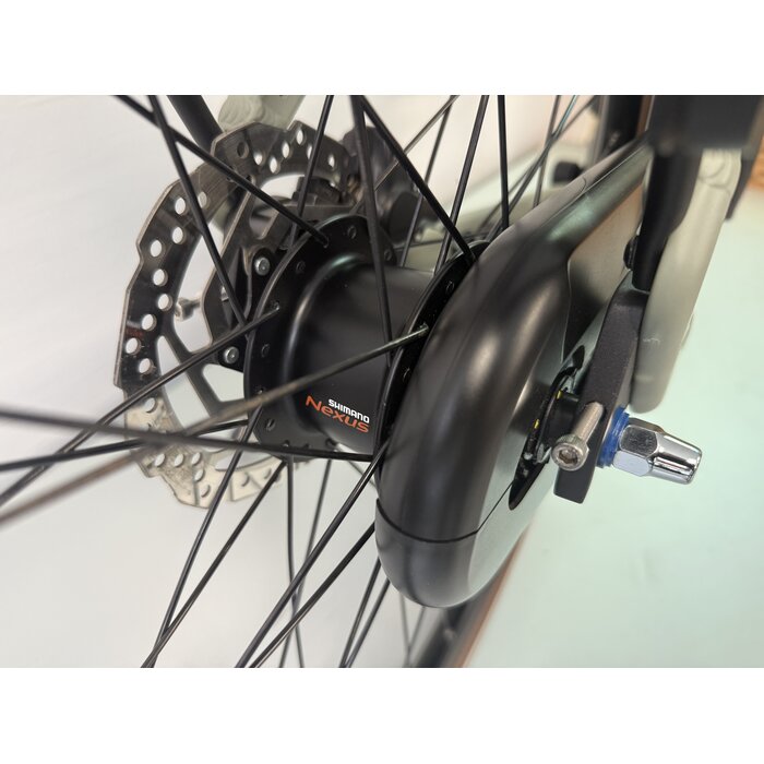 Qwic Qwic Echo Daily