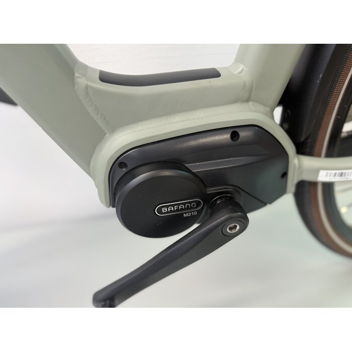 Qwic Qwic Echo Daily