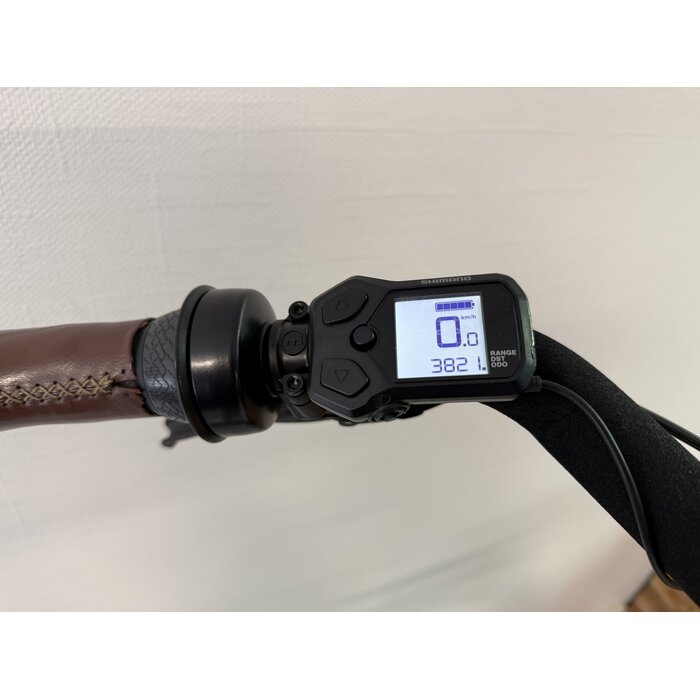 Gazelle Gazelle Bloom C7