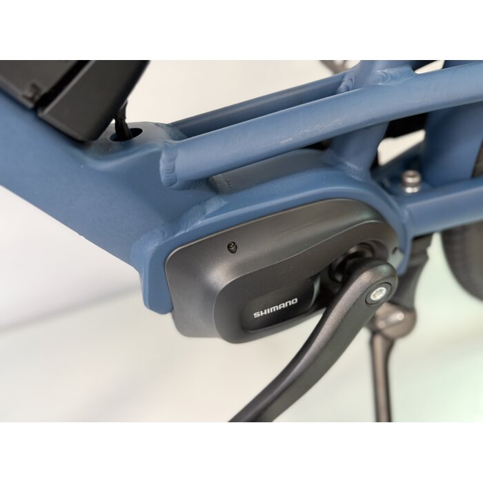 Gazelle Gazelle Bloom C7