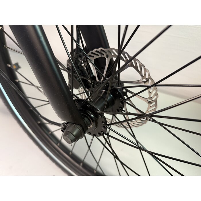 Eovolt Eovolt Evening 24"