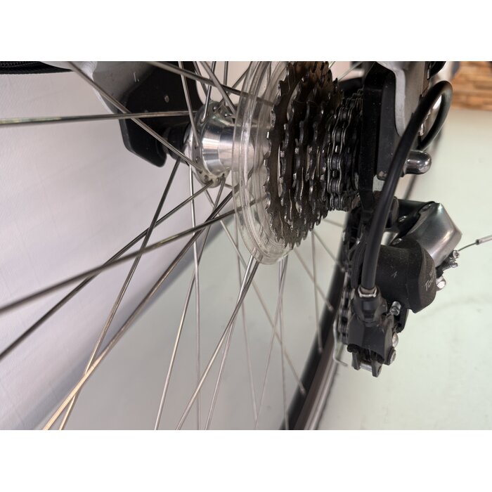 Giant Giant Twist Express