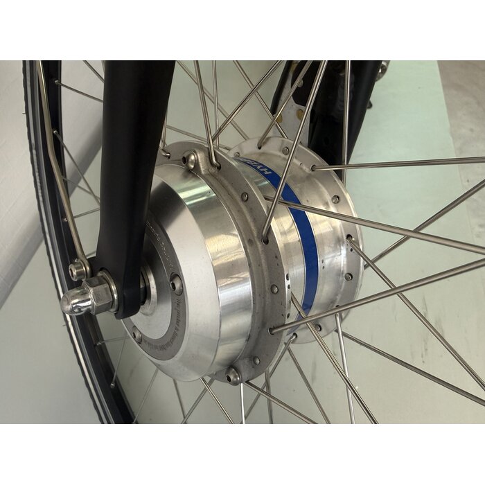 Giant Giant Twist Express