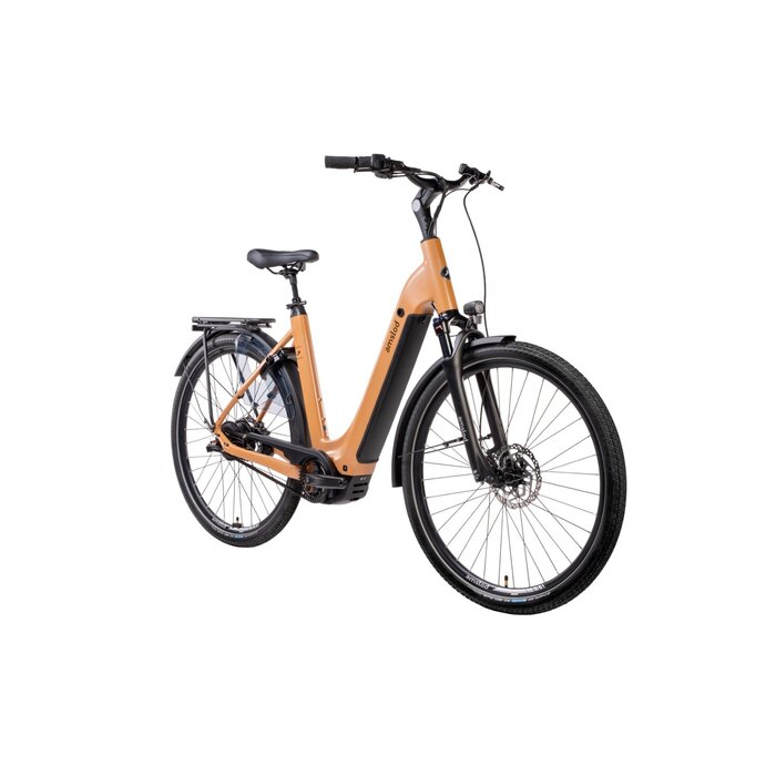 Amslod C380 Enviolo Trekking Bosch PX