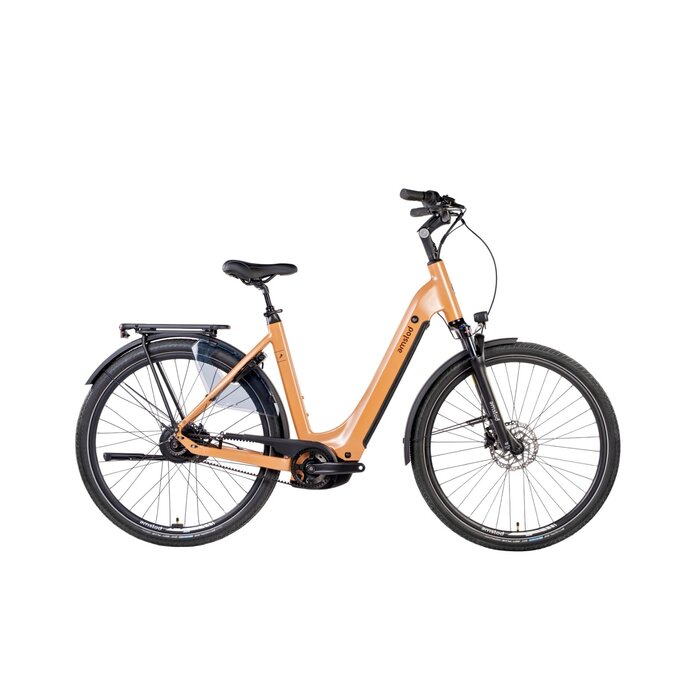 Amslod C380 Enviolo Trekking Bosch PX