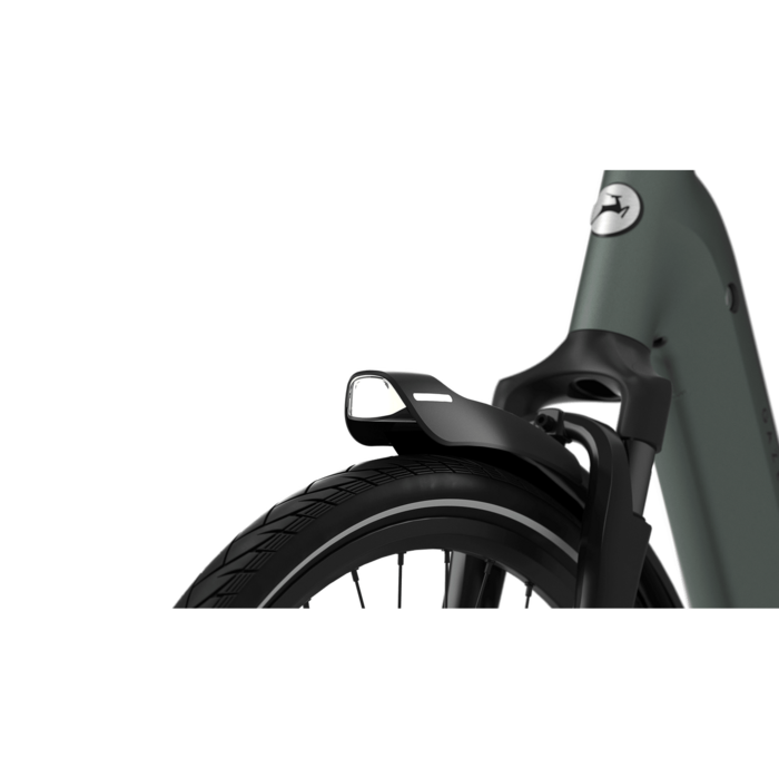 Gazelle Grenoble C5+ First Edition