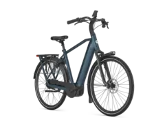 Gazelle Grenoble C310