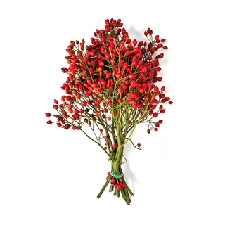 Hagebuttenzweige – 35 cm, rote Hagebutte