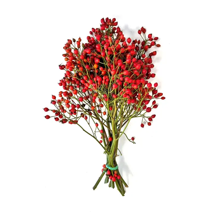 Hagebuttenzweige – 35 cm, rote Hagebutte